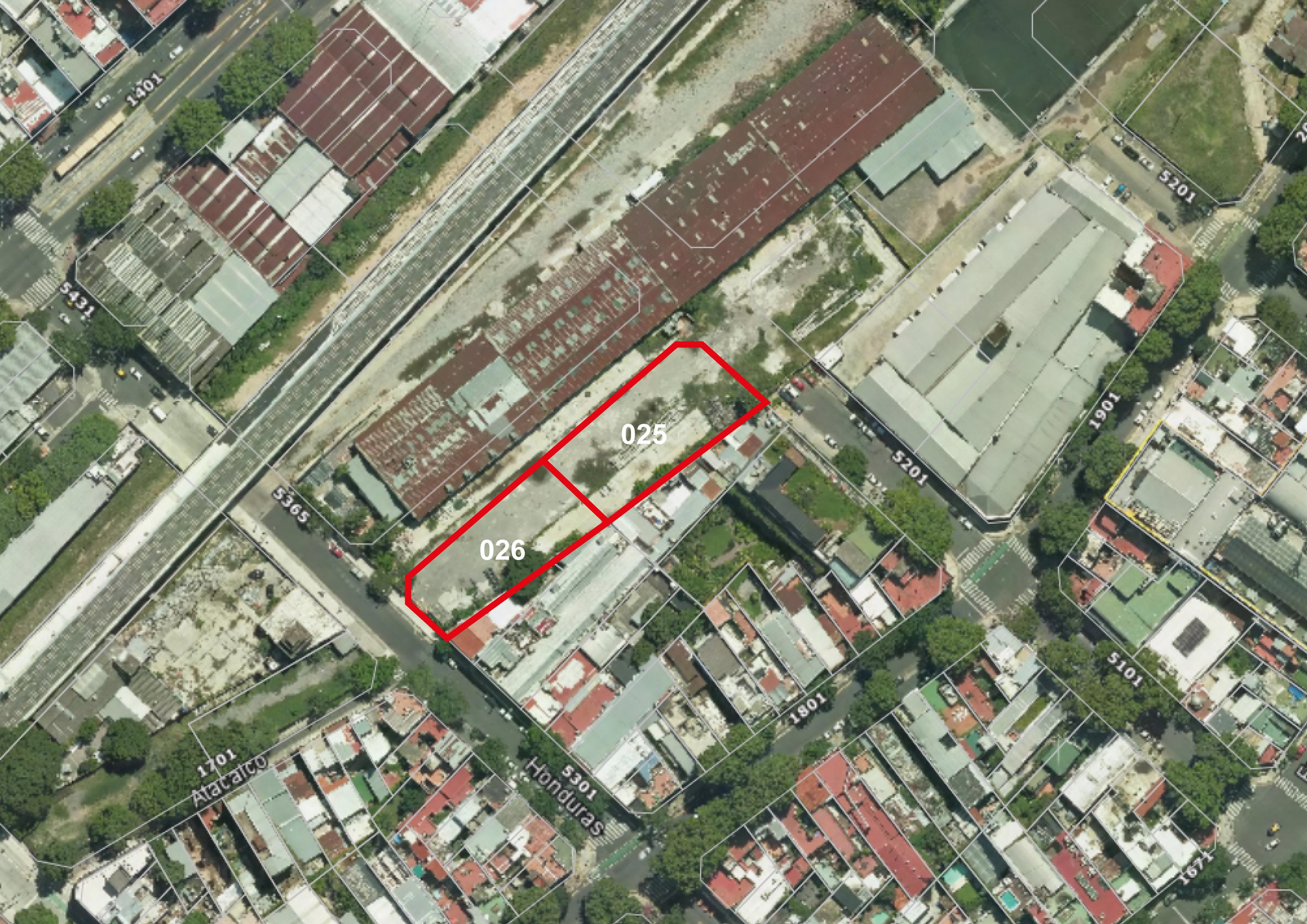 Imagen Palermo Green